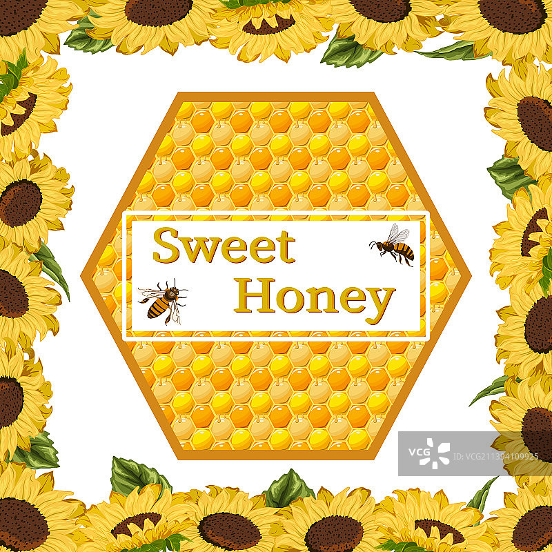向日葵和蜂蜜的框架背景图片素材