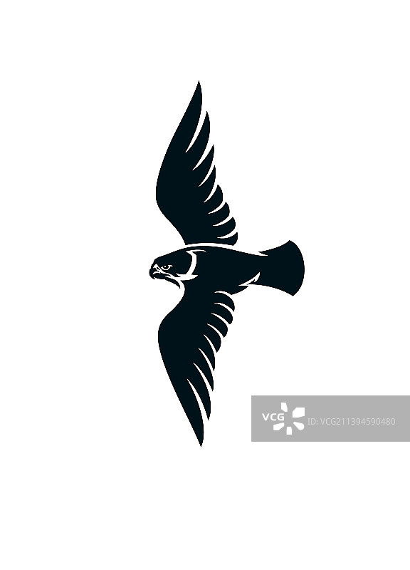简单的鹰鸟logo风格图片素材