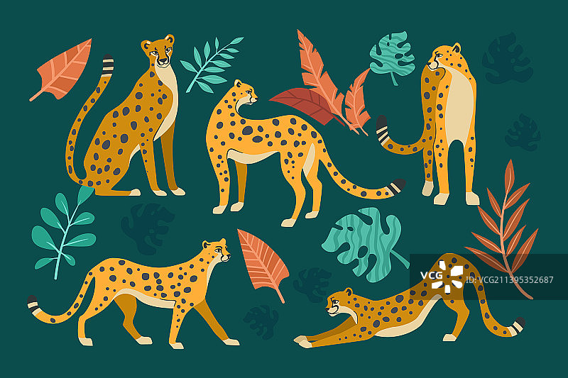 猎豹在不同的姿势卡通设置图片素材