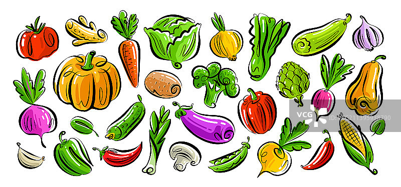 素食有机健康食品套装农场图片素材
