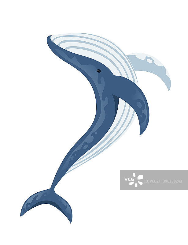蓝鲸卡通动物设计最大图片素材