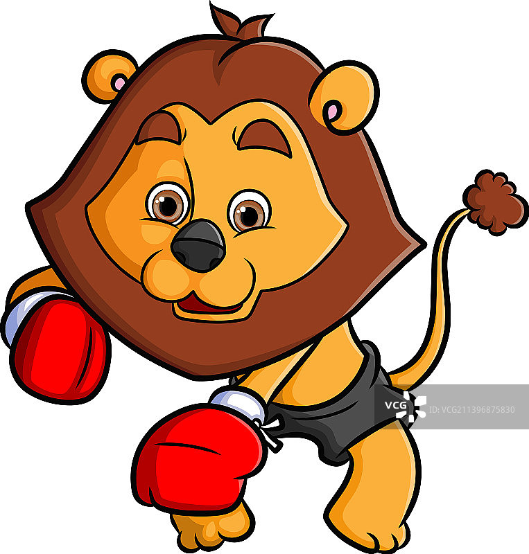 狮子斗士是拳击和拳击敌人图片素材