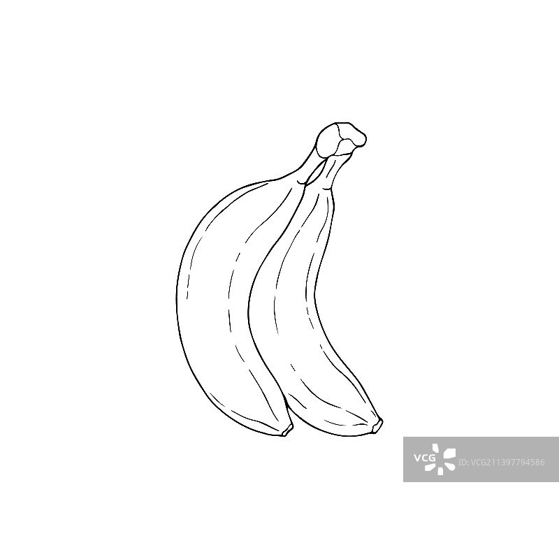 两只香蕉的黑白图片素材