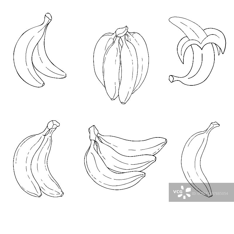 香蕉的轮廓图像图片素材