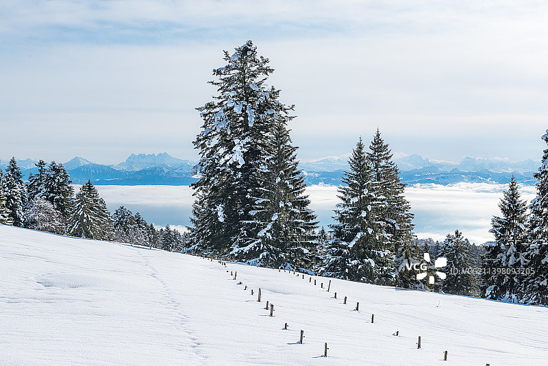 瑞士沃，人们在雪地上与天空相对图片素材