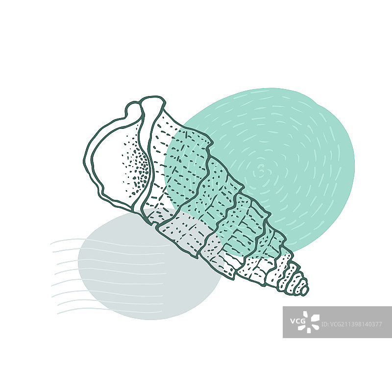 手绘海贝螺旋与许多纹理图片素材