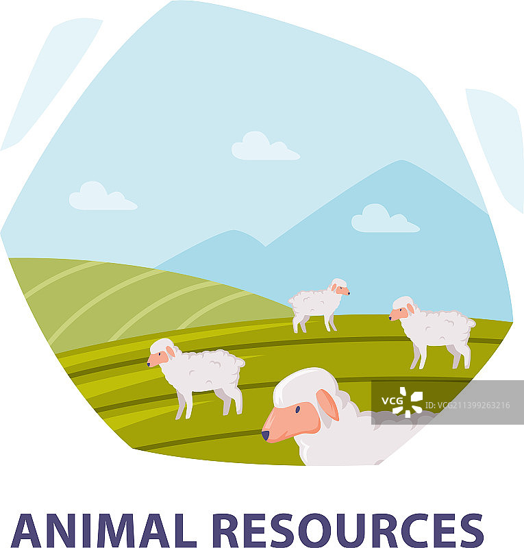 自然资源与动物放牧在绿色图片素材
