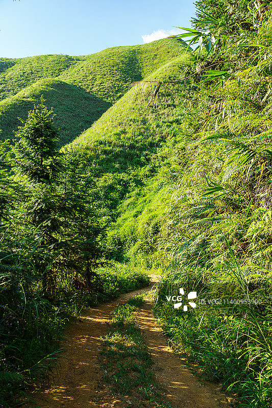 山路便道在绿色的山谷图片素材
