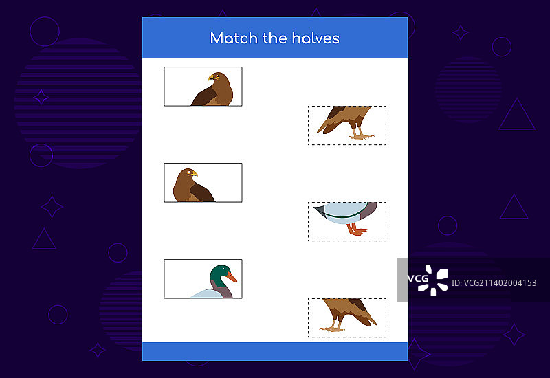 配对游戏配对一半的鸟教育图片素材