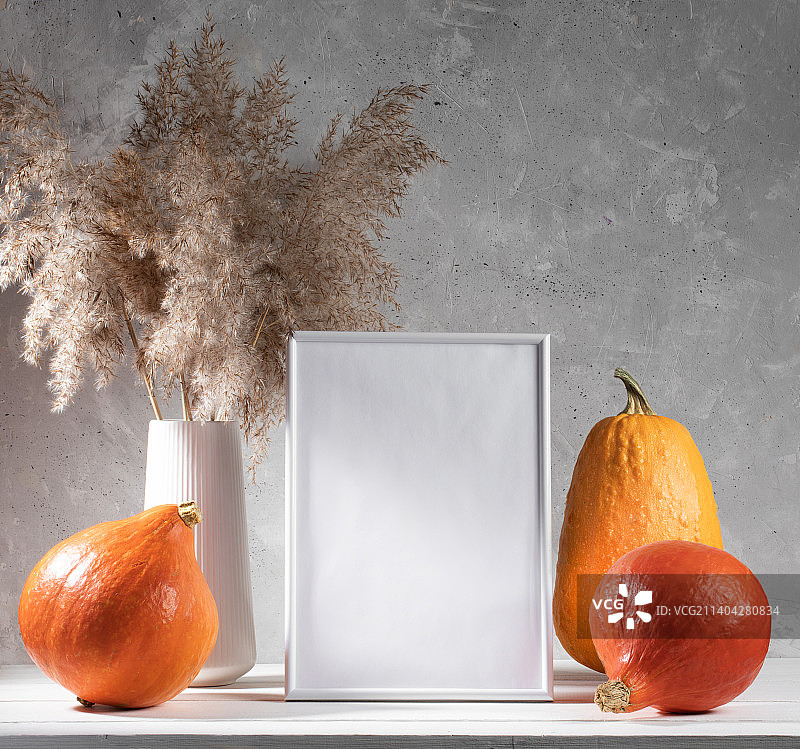 节日秋季模拟南瓜，空框架，干草在白色的桌子上混凝土墙背景，俄罗斯图片素材