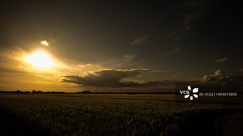德国纽鲁平，夕阳映衬下的农业田地风景图片素材