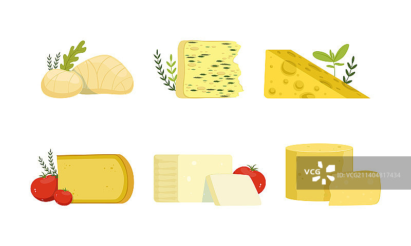 不同的奶酪块作为乳制品图片素材