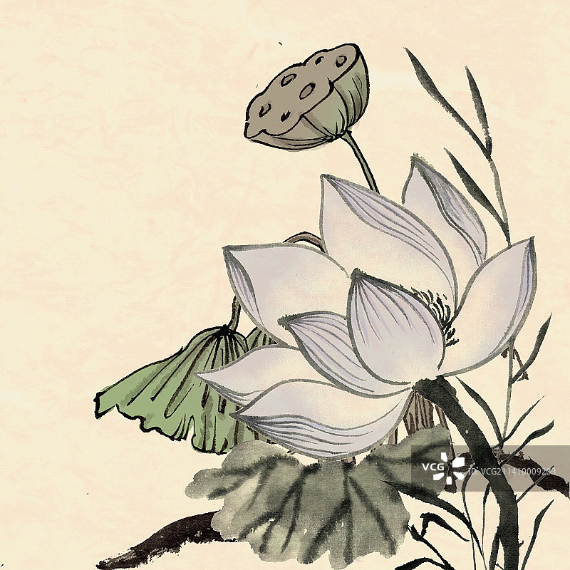 中国古风水墨写意风格手绘荷叶荷花背景插画图片素材