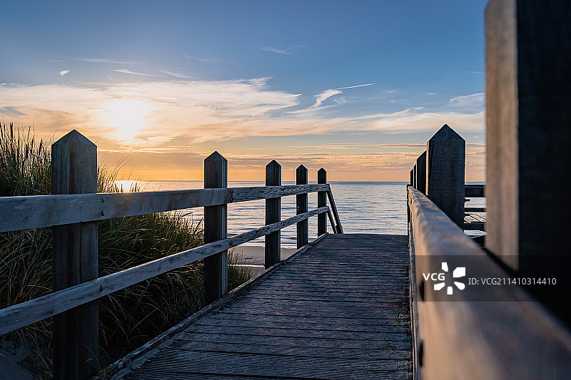荷兰，东堡，开阔的沼地，夕阳下有一棵小橡树图片素材