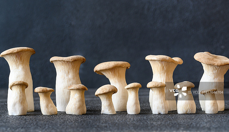 罗马尼亚，蘑菇在餐桌上生长的特写镜头图片素材