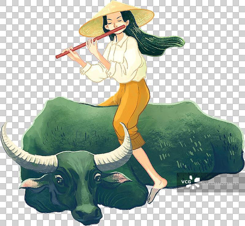 牛背上吹笛的少女图片素材