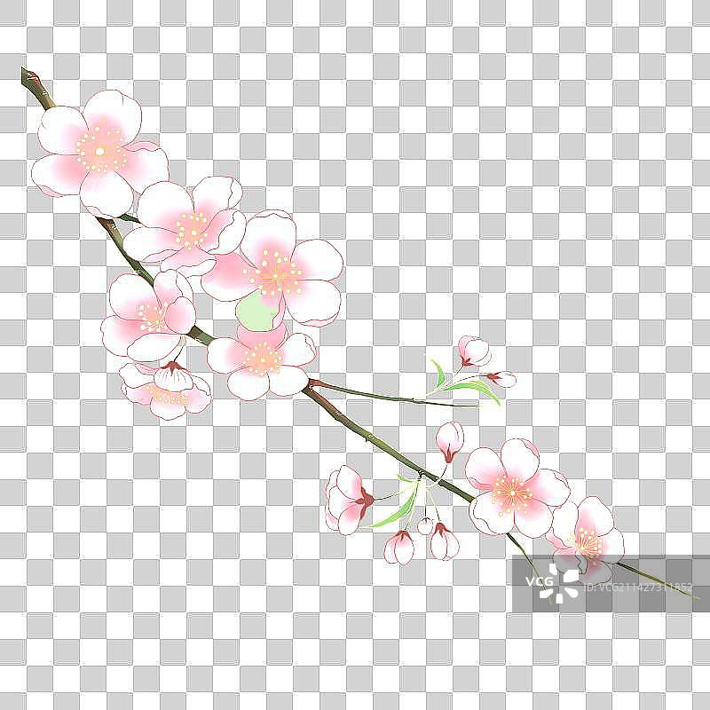 春天粉色的桃花图片素材
