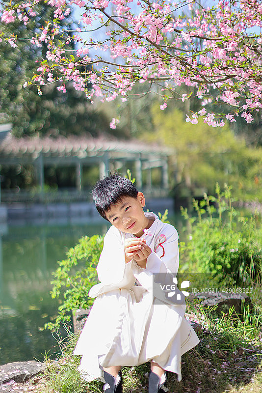 穿着汉服的小男孩坐在公园海棠花树下图片素材