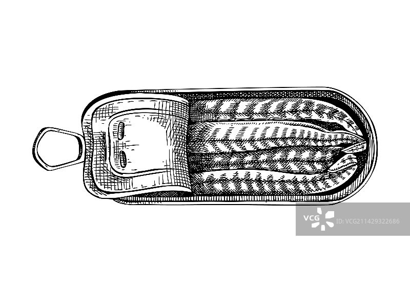 手工绘制凤尾鱼罐头是图片素材