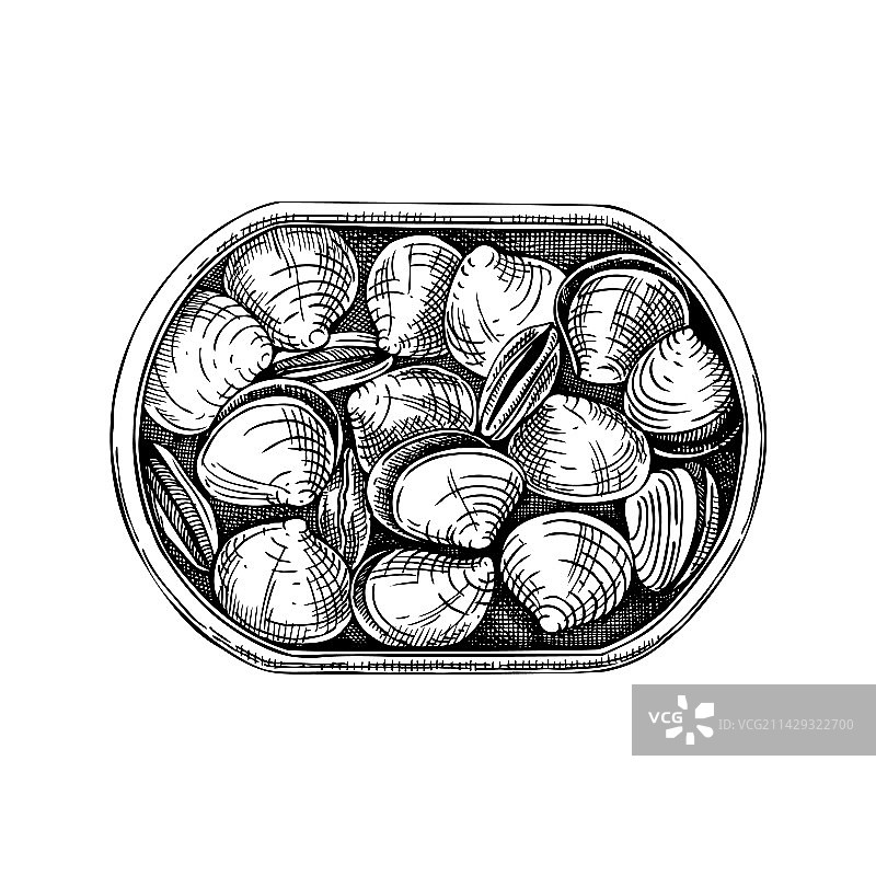 罐头蛤蜊壳在打开的罐头图片素材