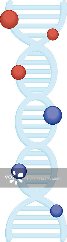 【科学】DNA分子图片素材