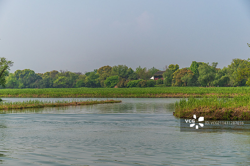 杭州西溪湿地公园图片素材