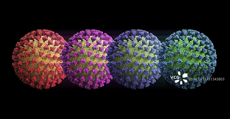 Covid-19冠状病毒变种，插图图片素材