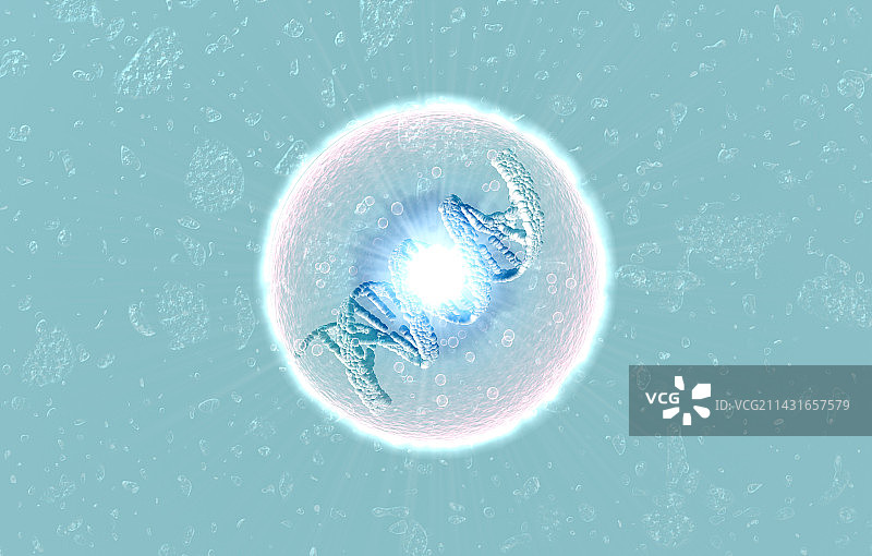 气泡中的DNA图片素材