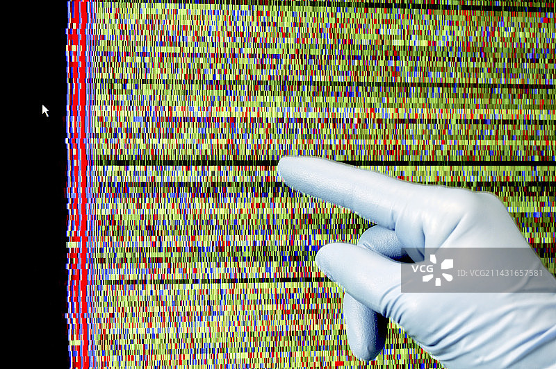 葡萄基因组测序图片素材