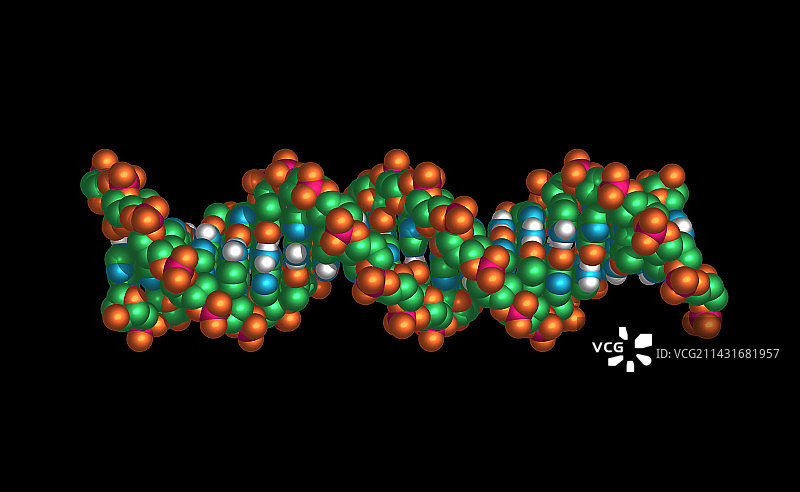 DNA分子图片素材