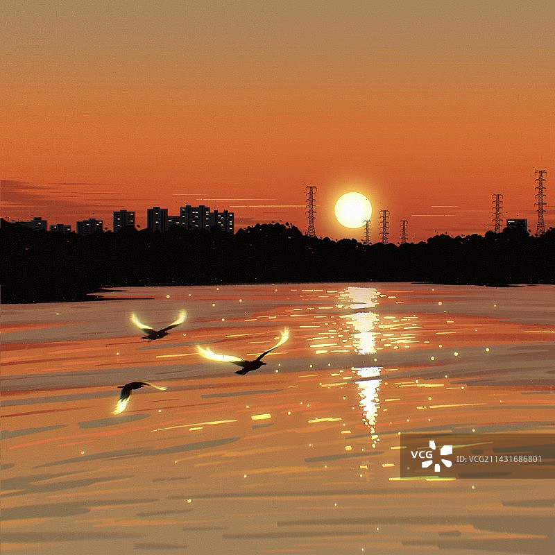 夕阳下的海鸥图片素材