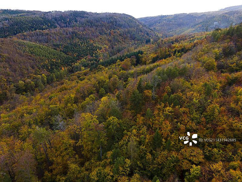 无人机拍摄的图片，欧洲德国萨克森-安哈尔特哈尔兹国家公园，艾森雷恩附近的秋天森林图片素材
