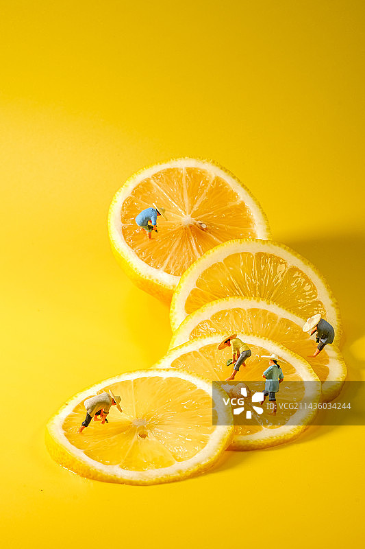 柠檬系列图片素材