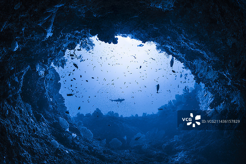 在洞下，通往中间地带的门，在60米深的自然光下的拱门下。马约特岛图片素材