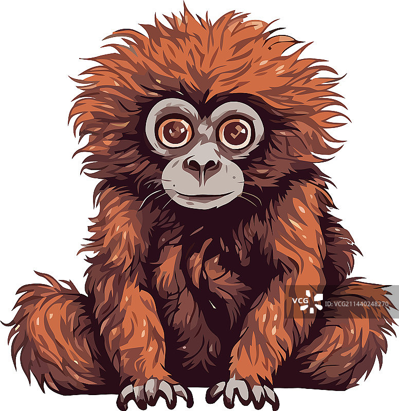 可爱的猴子坐在热带雨林里图片素材