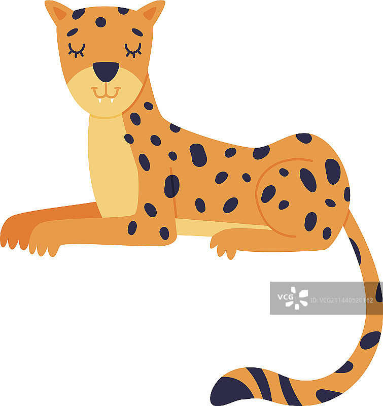可爱的斑点豹野生非洲动物图片素材