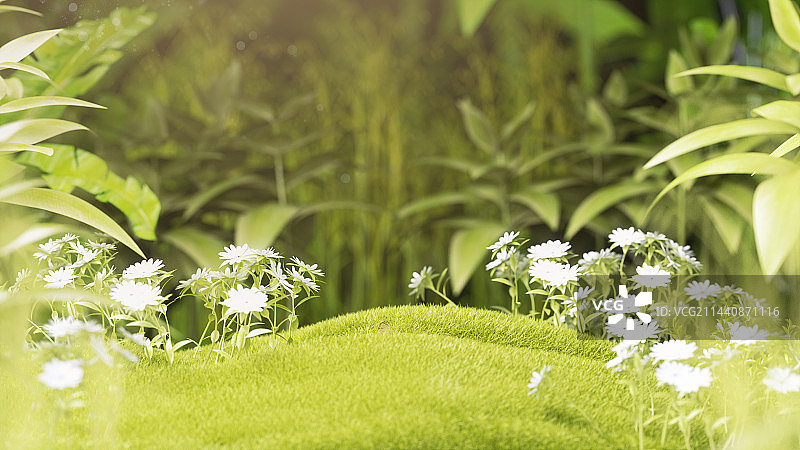 3D唯美阳光绿色植物花草电商景观场景图片素材