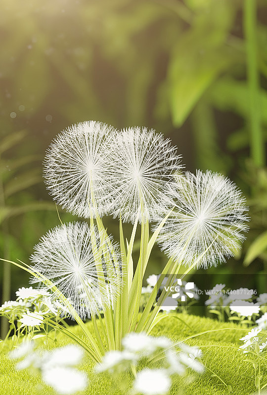 3D唯美阳光绿色植物花草电商景观场景图片素材