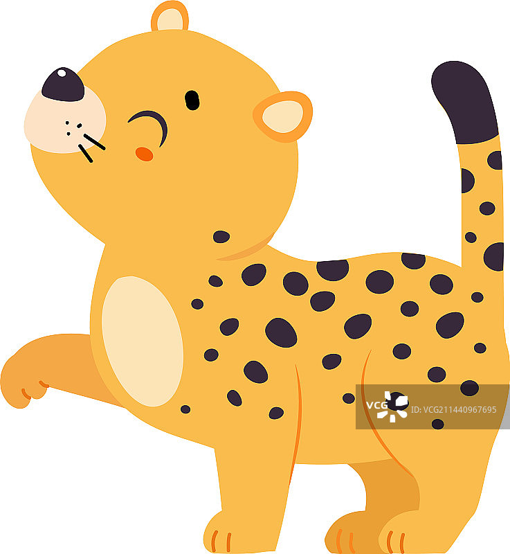 可爱的豹子或美洲虎幼崽走路图片素材