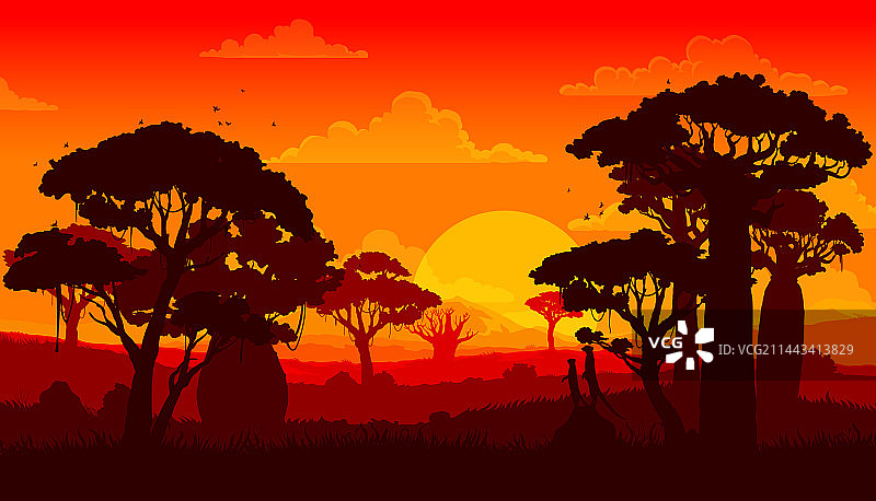 非洲大草原日落景观剪影图片素材