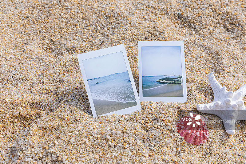 海滩，拍立得相机和海燕图片素材