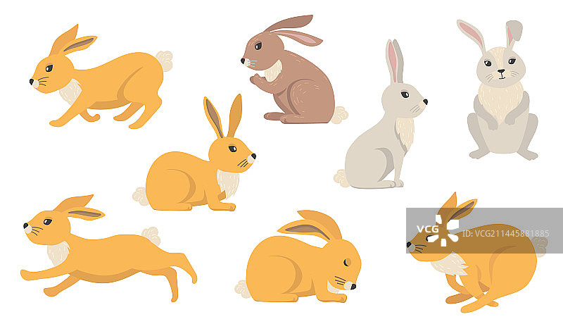 卡通兔子套装图片素材
