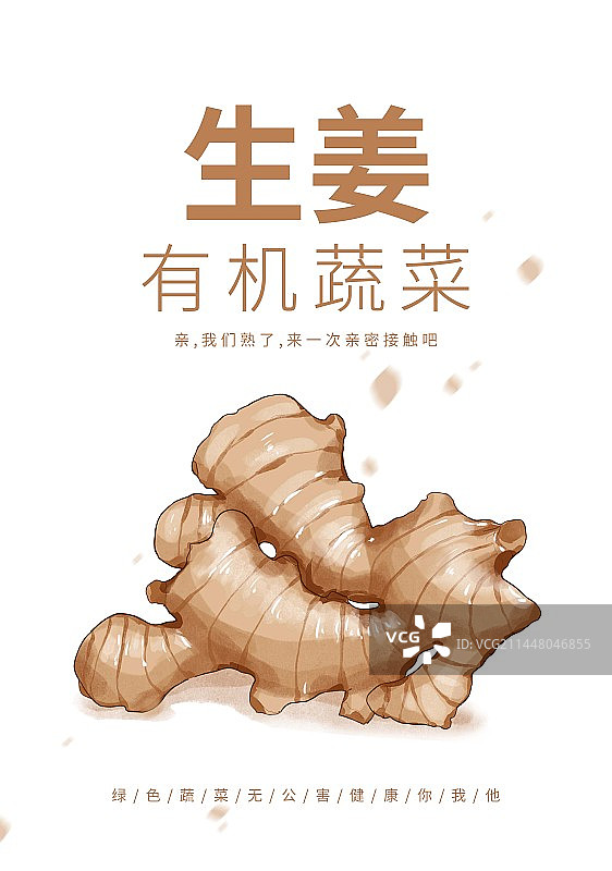 小寒节气蔬菜插画生姜海报设计图片素材