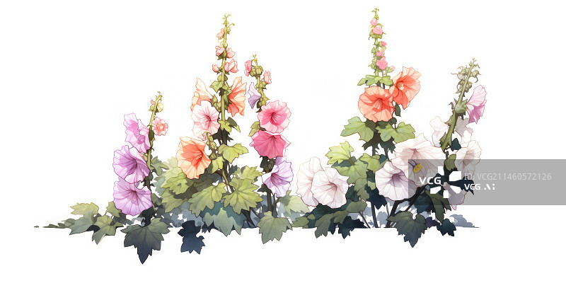 【AI数字艺术】十二月淡彩花卉月历系列之七月蜀葵图片素材