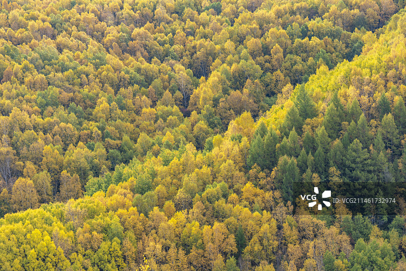 秋天的山林秋色自然风景图片素材