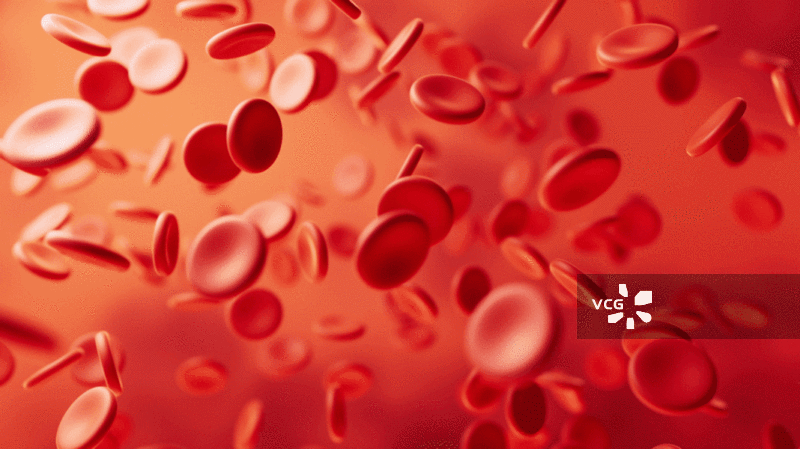 微观血液细胞3D渲染图片素材