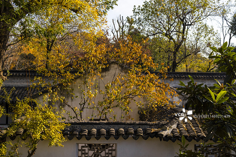 苏州园林拙政园 花窗走廊屋檐光影中式园林图片素材