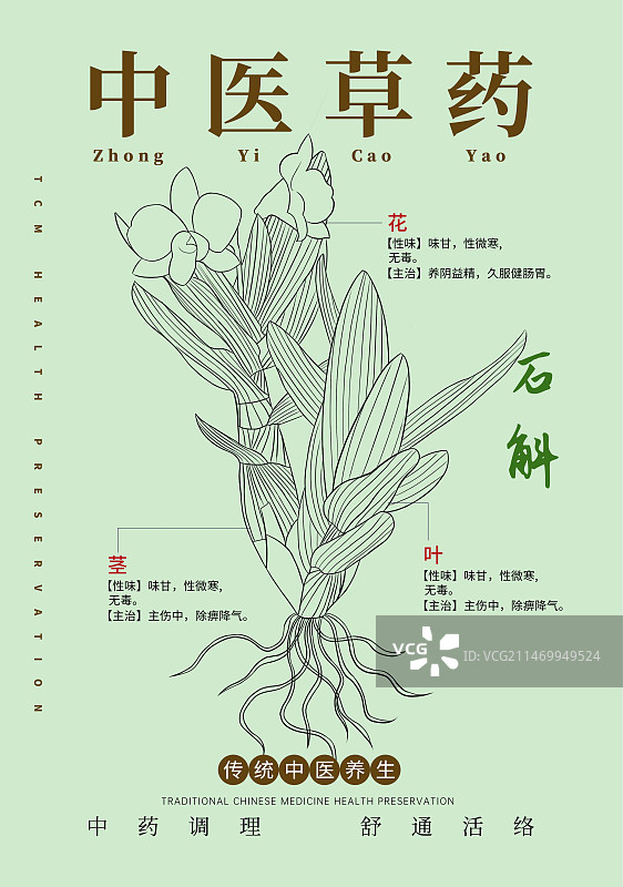 手绘中草药石斛特写植物插画版式设计海报图片素材