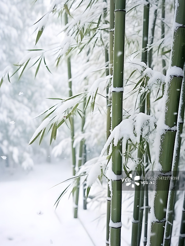 【AI数字艺术】白雪覆盖下的竹子图片素材