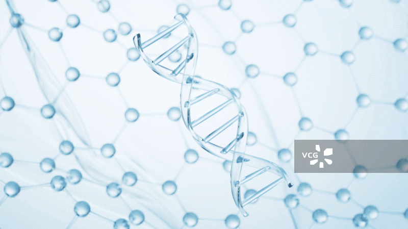 透明生物科技DNA结构3D渲染图片素材